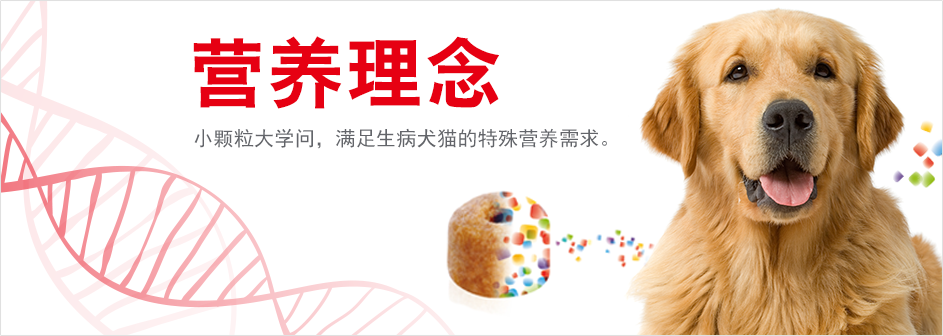 皇家临床营养认证课程横幅图