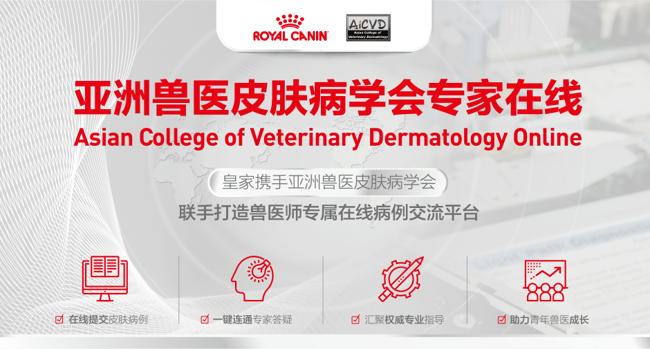 专家团banner图片