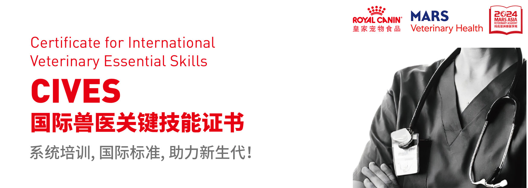 认证总进度banner图片