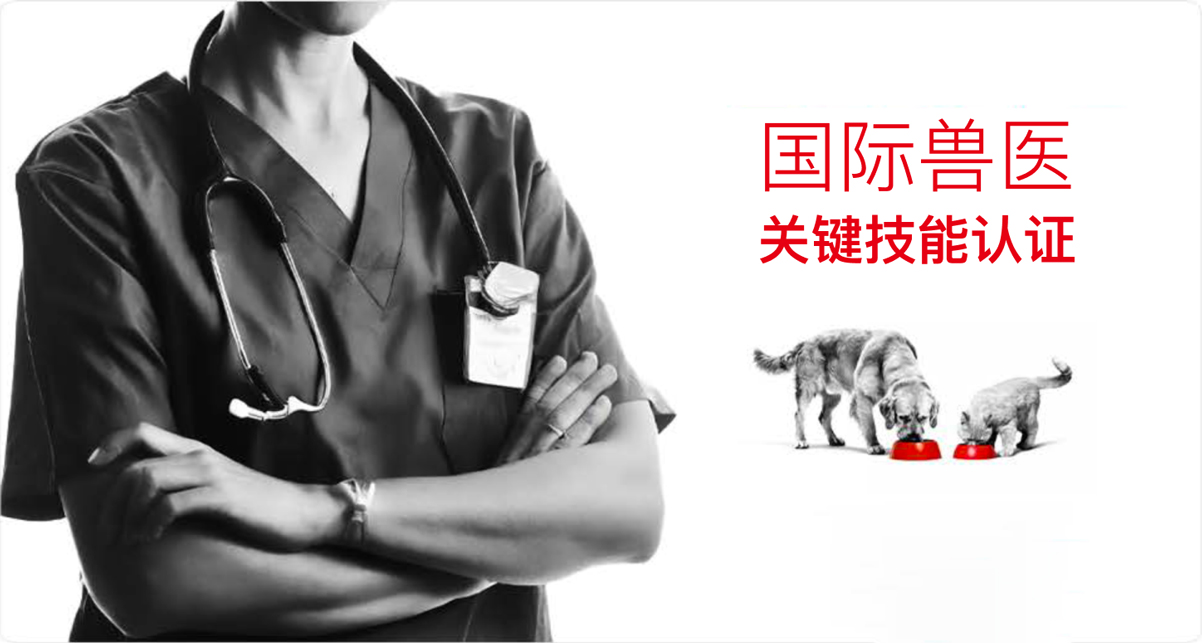 开始学习&认证banner图片