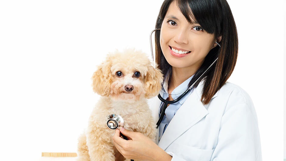 兽医病例收集和分享