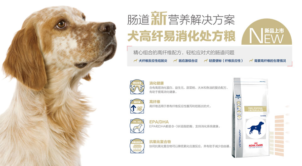 皇家猫处方粮适用场景