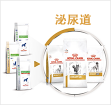 产品介绍泌尿道图片