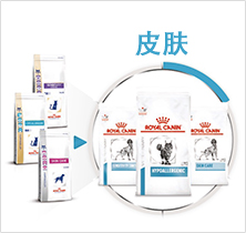 产品介绍皮肤图片