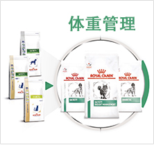 产品介绍体重管理图片