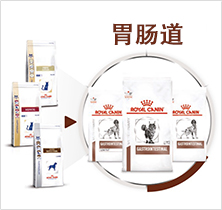 产品介绍胃肠道图片