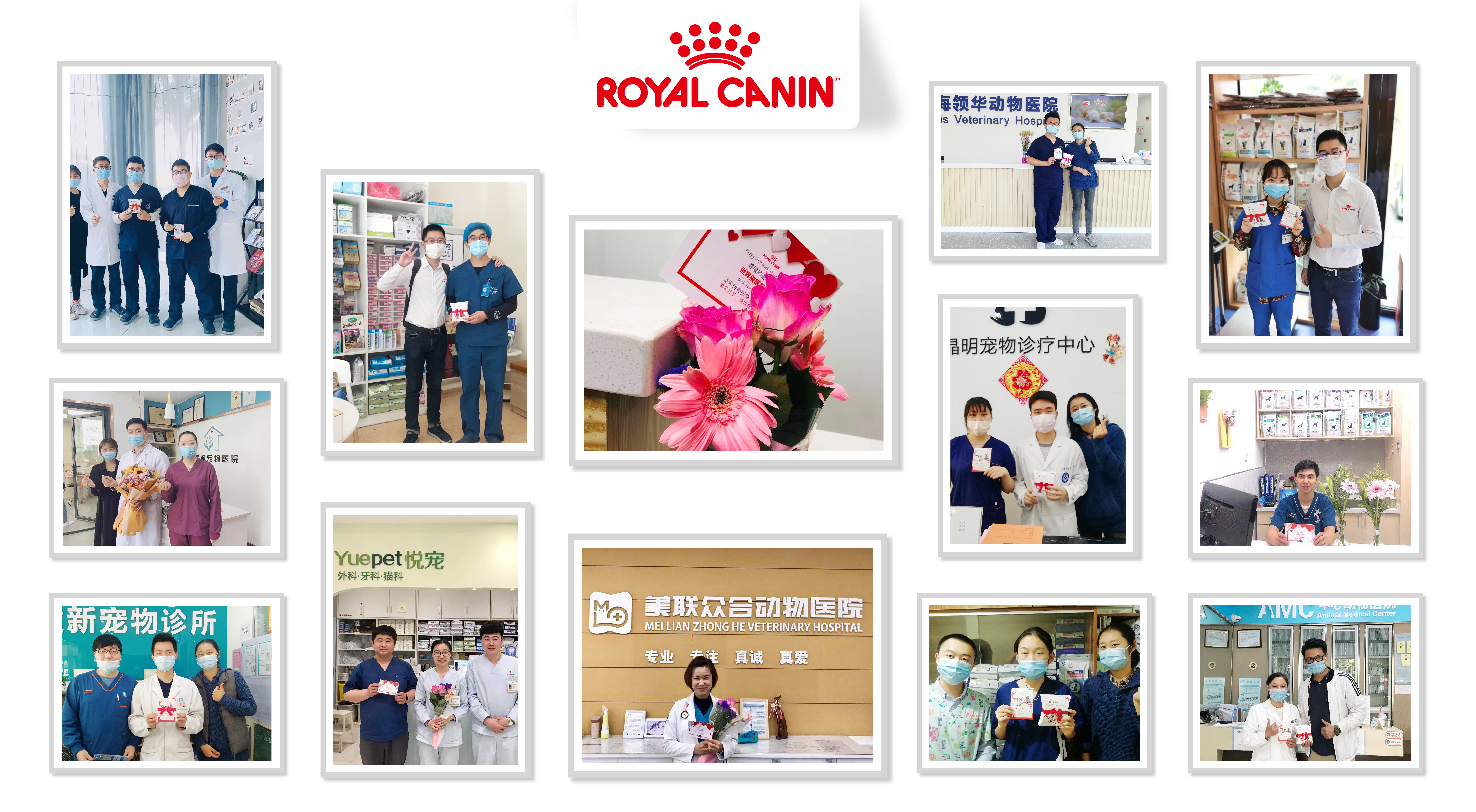 世界兽医日联合主办logo