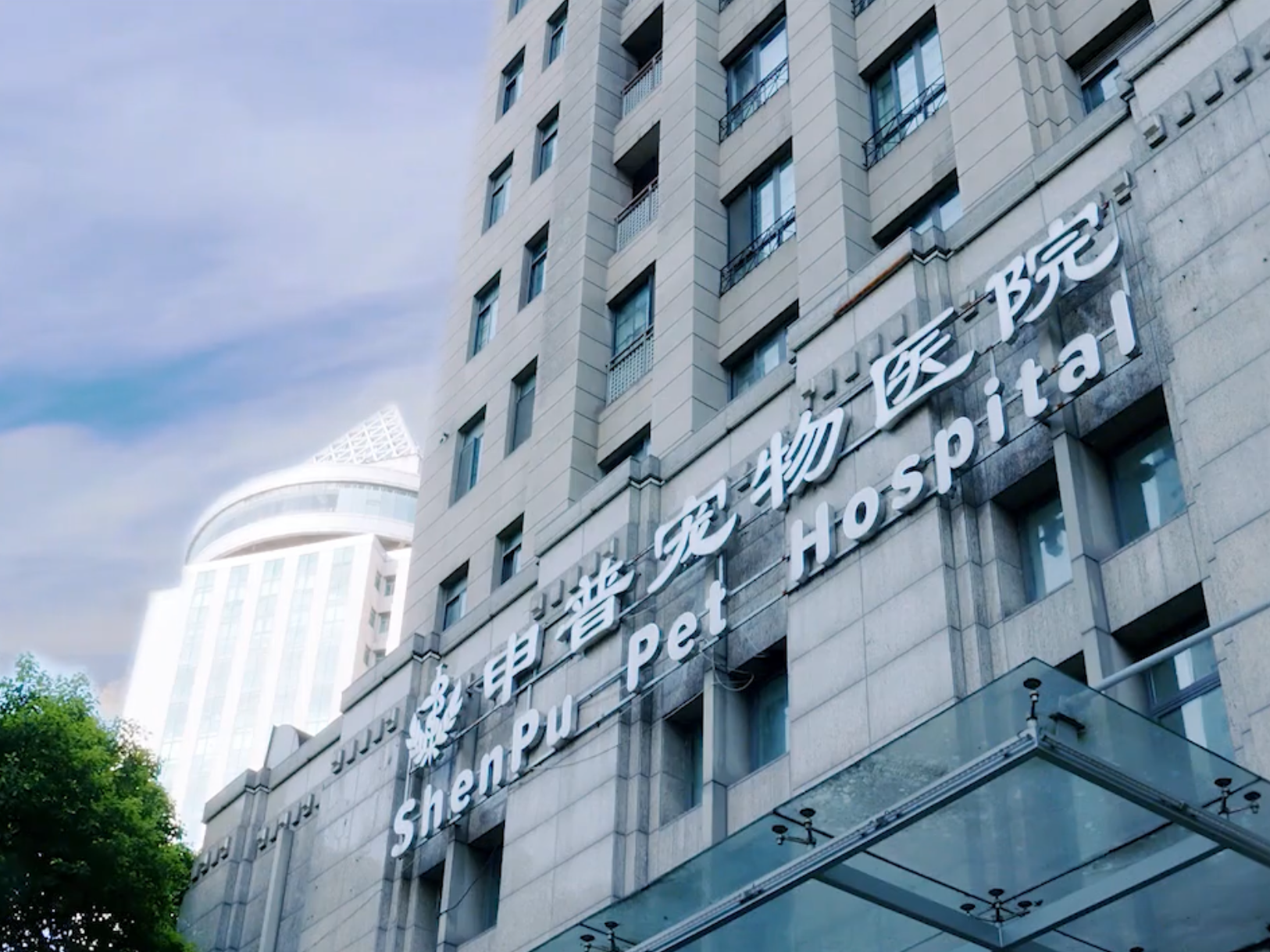 申普宠物医院图片