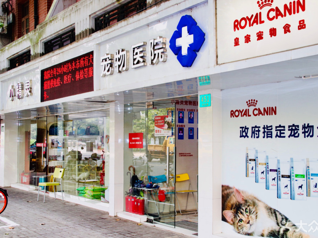 小精灵宠物医院图片