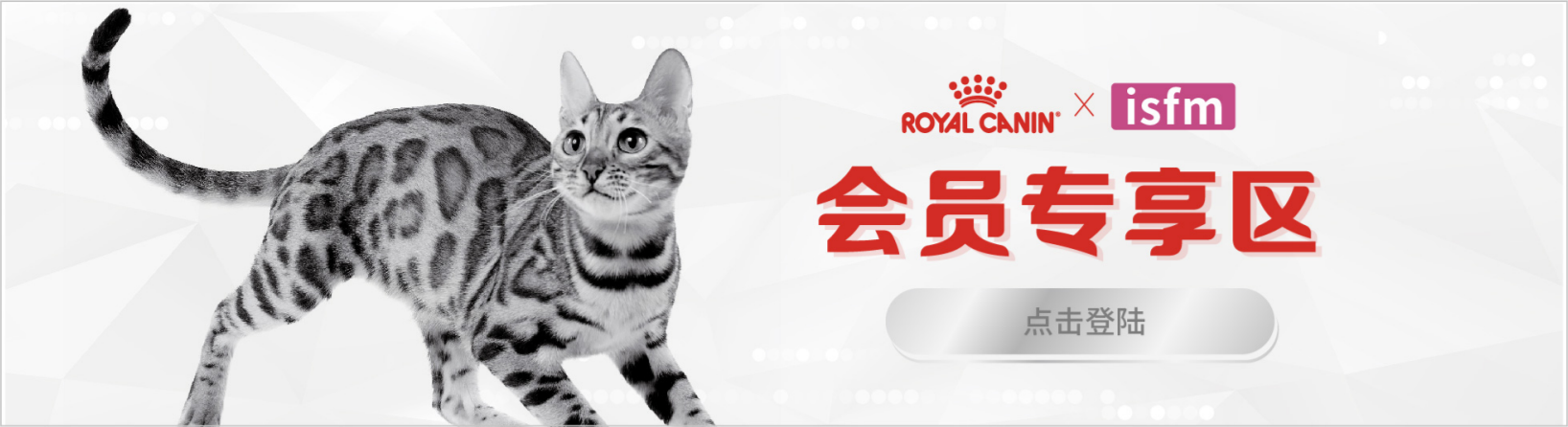 CFC猫友好诊所项目第二横幅