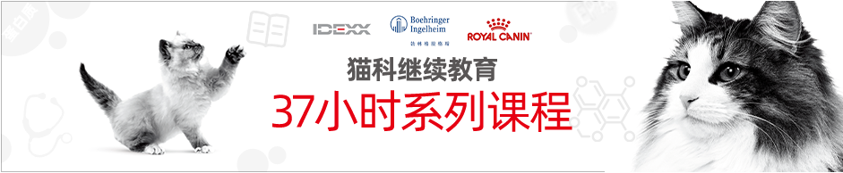 CFC猫友好诊所项目第三横幅