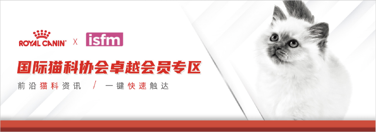 CFC猫友好诊所项目主横幅