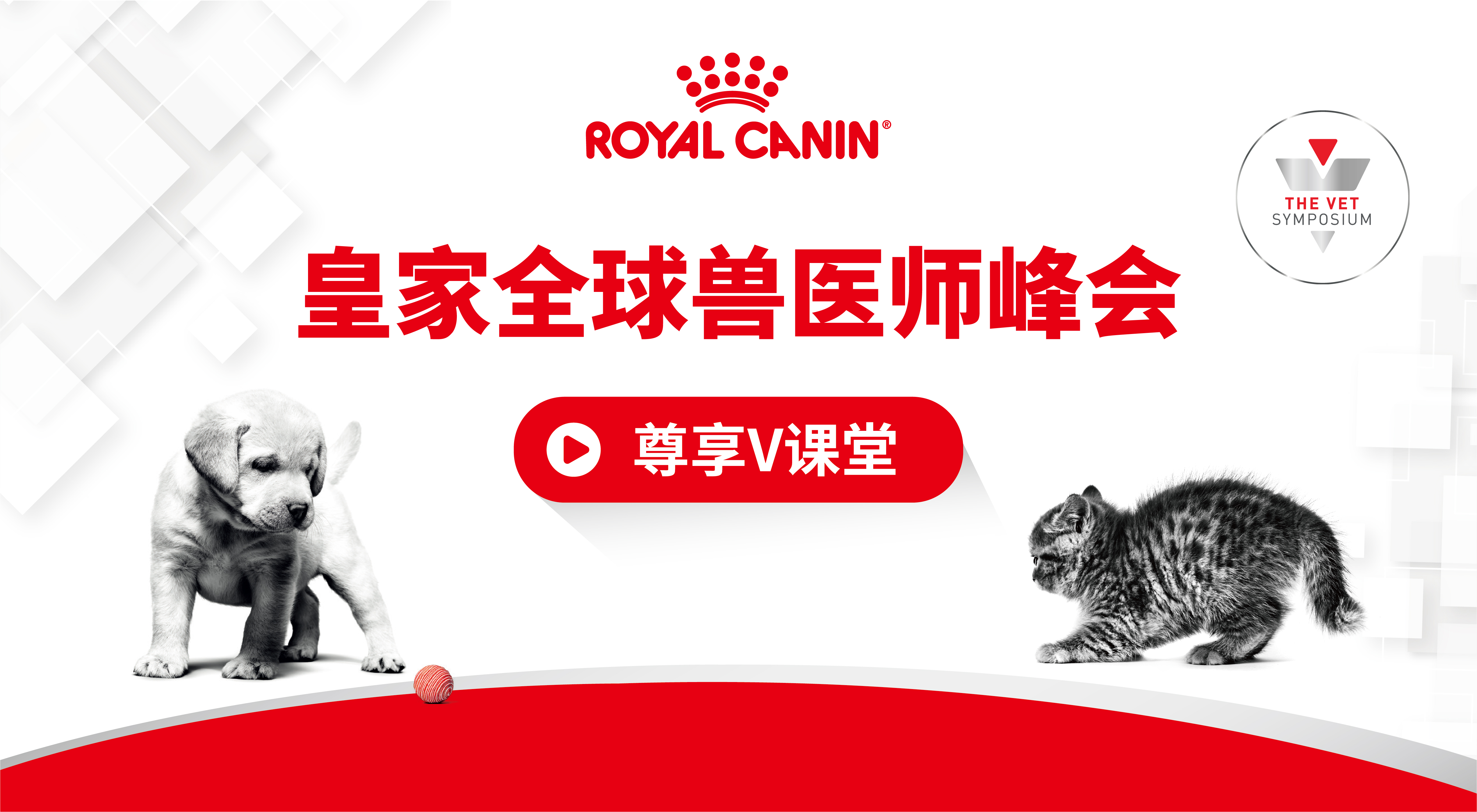 时代看中国，营养新未来