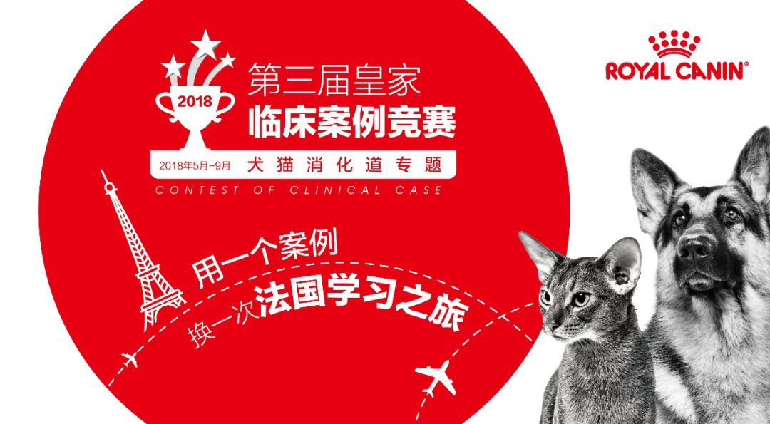 新闻列表banner图片