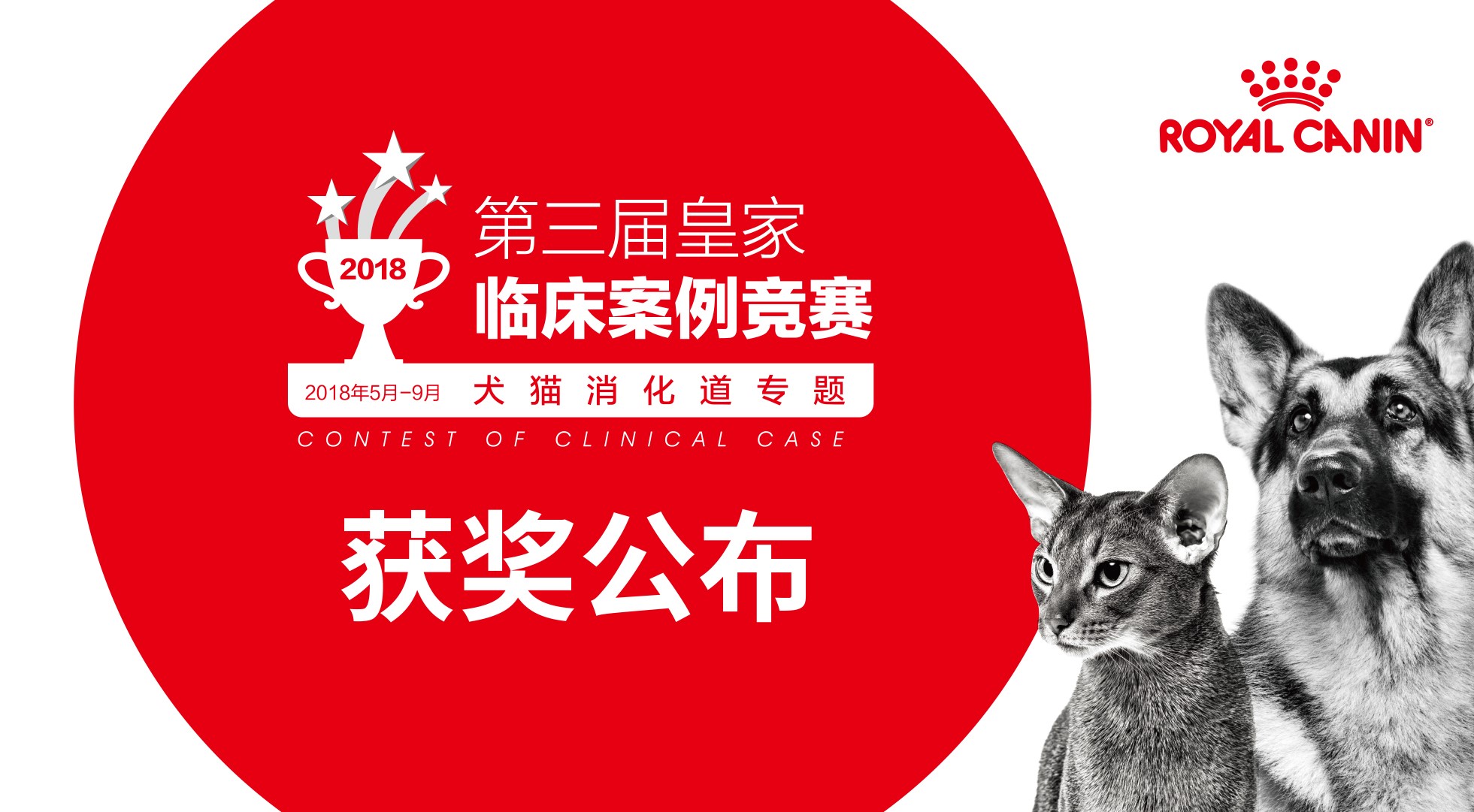 临床案例竞赛初赛图片